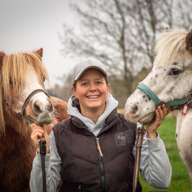 Volpension Paddockstalling voor Shetlander of mini, Dieren en Toebehoren, Stalling en Weidegang, Stalling, Weidegang