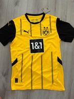 Borussia Dortmund Voetbalshirt 24/25, Puma, Geel, Nieuw, Voetbal