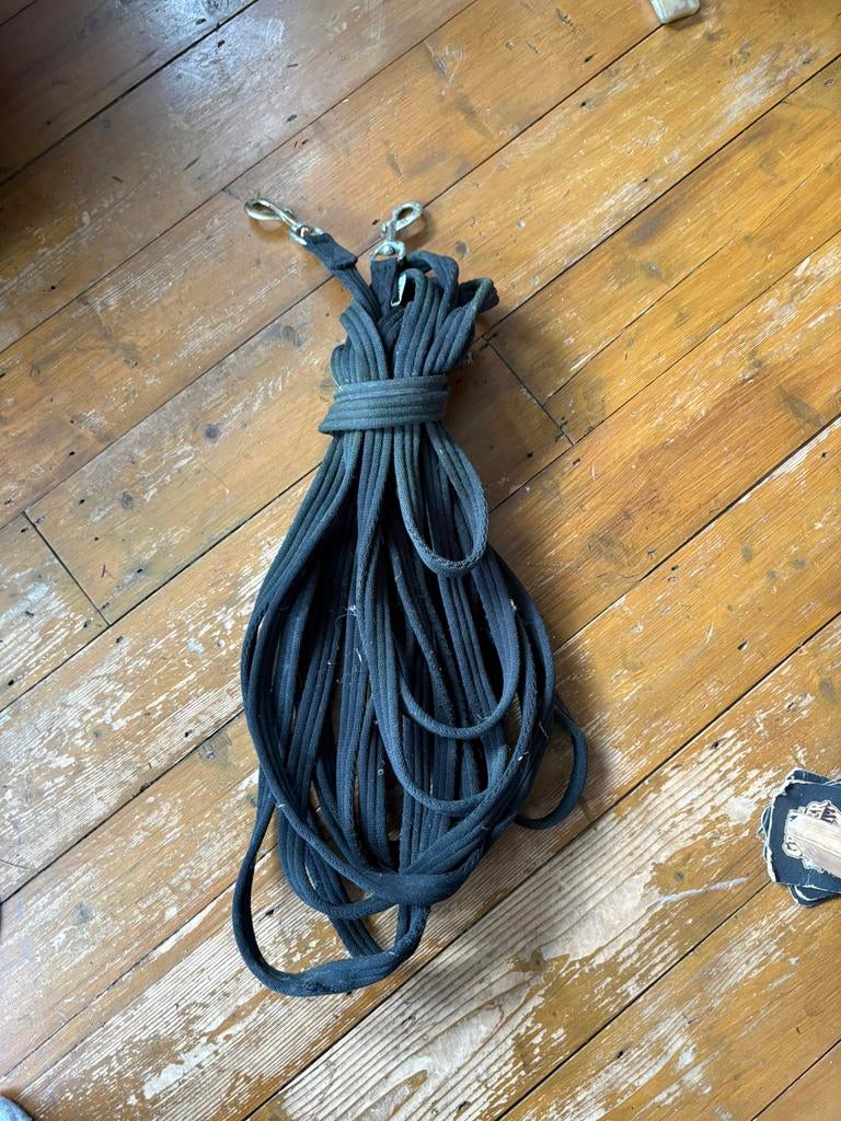 Dubbele lijnen/ dubbele longeerlijnen, Dieren en Toebehoren, Paarden en Pony's | Hoofdstellen en Tuigage, Ophalen of Verzenden