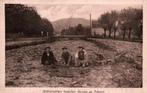 Helmplanters tussen Bergen en Schoorl, Verzenden, Voor 1920, Ongelopen, Noord-Holland