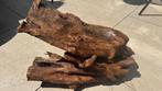 Aquarium / Terrarium hout XXL driftwood mangrove, Ophalen of Verzenden, Plant(en), Steen of Hout