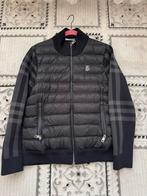 Zwarte Burberry Jas - Maat M, Ophalen of Verzenden, Zo goed als nieuw, Maat 48/50 (M), Zwart