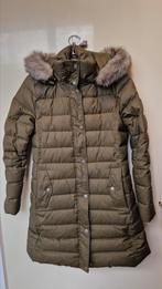 Hilfiger donsjas maat S olijfgroen, Ophalen of Verzenden, Gedragen, Maat 36 (S), Groen
