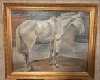 Schilderij van een wit paard antiek schilderij, Antiek en Kunst, Ophalen of Verzenden