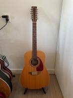 Norman 12 String B-20 Acoustic Guitar, Muziek en Instrumenten, Snaarinstrumenten | Gitaren | Akoestisch, Ophalen, Gebruikt, Western- of Steelstringgitaar