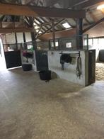 Weiland met 3 stallen te huren ( eigengebruik), Dieren en Toebehoren
