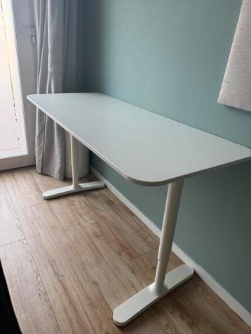 Wit bureau