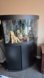 Leuk juwel hoekaquarium 70 x 70 x 60, Dieren en Toebehoren, Ophalen, Gebruikt, Leeg aquarium
