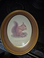 Oude prent in lijst - 38 cm hoog, Ophalen, Minder dan 50 cm, Gebruikt, Print