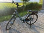 Giant ease e 400wh accu 50cm frame nieuwstaat, Fietsen en Brommers, Fietsen | Dames | Moederfietsen, 50 tot 53 cm, Ophalen, Zo goed als nieuw