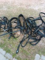 Te koop, Dieren en Toebehoren, Ophalen, Overige soorten