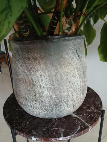 Robuuste bloempot 26 cm hoog, 25 cm doorsnede  beschikbaar voor biedingen