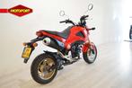 Honda MSX 125 (bj 2015), Motoren, Doornveld 180-184
B-1731  ZELLIK, BE, Bedrijf, HONDA MOTOR EUROPE BENELUX, Info@motoportassen.nl