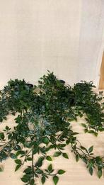 Kunst planten, Ophalen of Verzenden, Gebruikt, Binnen