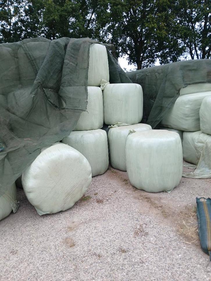 Hooi te koop midibalen, Dieren en Toebehoren, Dierenvoeding, Vee, Ophalen