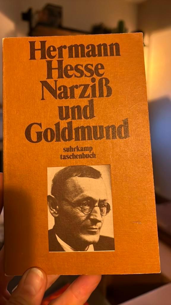 Hermann Hesse - Narziss und Goldmund (Boekenlijst, Duits), Boeken, Literatuur, Gelezen, Ophalen of Verzenden