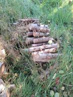 Dennen - Klein Stapel Hout, Minder dan 3 m³, Ophalen of Verzenden, Overige houtsoorten, Takken