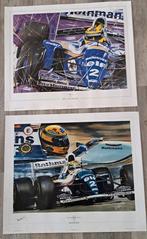 Senna litho/schilderij. Limited edition 29/500, Ophalen of Verzenden, Gebruikt, Formule 1