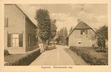 (701-378-021) Hagestein Reiersteinsche Weg beschikbaar voor biedingen