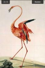 IXXI Flamingo 80x120 cm, Huis en Inrichting, Ophalen of Verzenden, Zo goed als nieuw