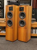 Chario Syntar 3T MK2 Refurbished, Zeldzaam, Audio, Tv en Foto, Luidsprekers, Ophalen, 120 watt of meer, Front, Rear of Stereo speakers