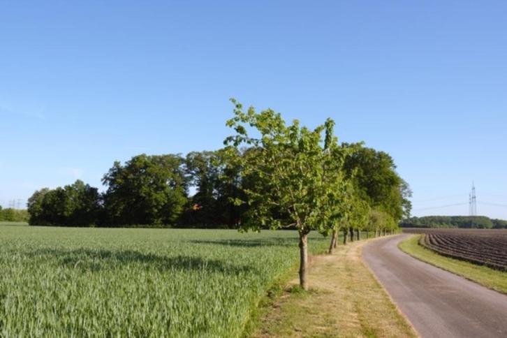Uniek Boerderijcomplex in Messingen (Duitsland), Zakelijke goederen, Agrarisch | Agrarisch Onroerend goed, Varkenshouderij, 5 tot 20 ha