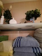 glasplaat, Doe-het-zelf en Verbouw, Glas en Ramen, Minder dan 80 cm, 80 tot 120 cm, Ophalen of Verzenden, Zo goed als nieuw