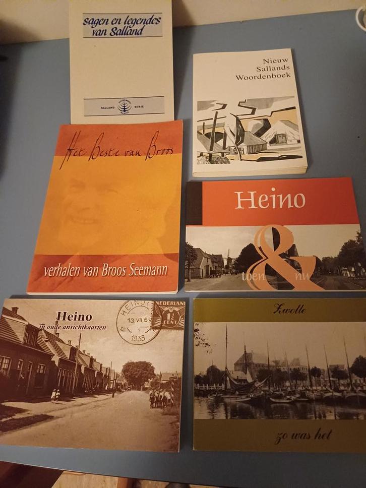 Boeken over Salland, Heino, Zwolle, Boeken, Geschiedenis | Stad en Regio, Zo goed als nieuw, Ophalen