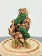 Opgezette Smaragdgroene Juweelkevers - Wildernis Atelier, Ophalen of Verzenden, Nieuw, Opgezet dier