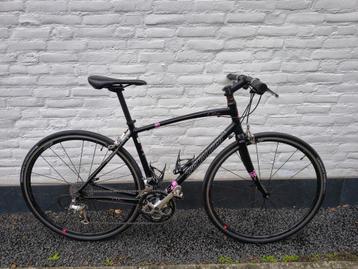 Specialized Dolce Fulcrum r3, recht stuur , 54cm beschikbaar voor biedingen