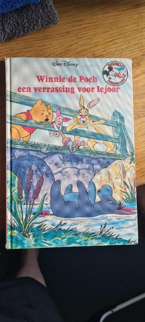 Winnie de poeh pooh een verrassing voor Iejoor disney boek, Boeken, Kinderboeken | Jeugd | onder 10 jaar, Zo goed als nieuw, Ophalen of Verzenden