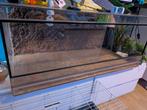 Terrarium 120 x60 en 50 hoog incl toebehoren, Dieren en Toebehoren, Reptielen en Amfibieën | Toebehoren, Ophalen, Zo goed als nieuw
