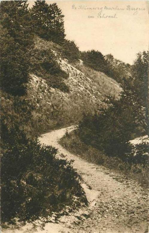 (377-675-015) Bergen NH Klimduin, Verzamelen, Ansichtkaarten | Nederland, Noord-Holland, Verzenden