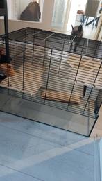 Hamsterkooi met diverse toebehoren., Ophalen, Kooi, Gebruikt, 60 tot 90 cm