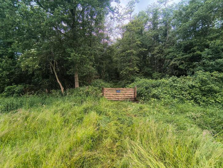 Bosgrond/Natuurgrond gezocht in Noord Nederland, Tuin en Terras, Haardhout, Ophalen of Verzenden