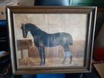 2 prent schilderijen van paarden (minimaal 60 jaar oud), Ophalen, Schilderij, 50 tot 75 cm