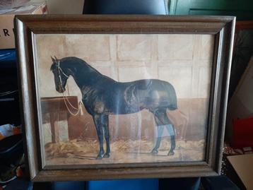2 prent schilderijen van paarden (minimaal 60 jaar oud) beschikbaar voor biedingen