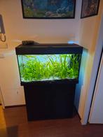 Aquarium met toebehoren, Dieren en Toebehoren, Ophalen, Leeg aquarium