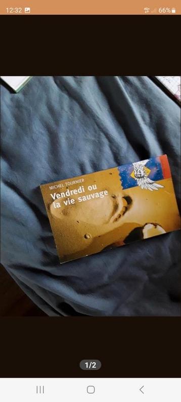 Frans pocket boek bijna gratis 