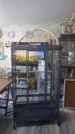 Grijze Roodstaart en ara vogels kooi, Ophalen, Zo goed als nieuw, Metaal, Vogelkooi