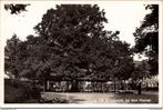 De Lindeboom op den Heuvel, Tilburg 1942 (NB), Verzamelen, Ansichtkaarten | Nederland, 1940 tot 1960, Ongelopen, Ophalen of Verzenden