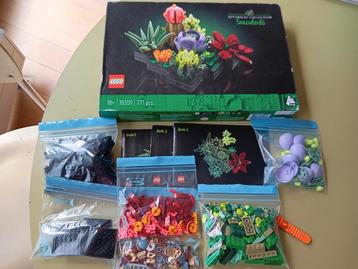 Lego 10309 botanical collection succulents beschikbaar voor biedingen