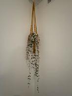 Hangplant met Macrame Hanger, Tuin en Terras, Bloempotten, Ophalen, Overige materialen, Rond, Minder dan 25 cm