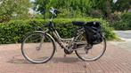 Koga Miyata Accelance Lady, Fietsen en Brommers, Fietsen | Dames | Damesfietsen, Versnellingen, Ophalen, Overige merken, 53 tot 56 cm
