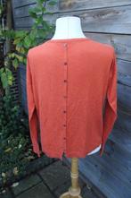 Trui roestrood Giulia e Tu mt 36 Vaste prijs, Kleding | Dames, Giulia, Ophalen of Verzenden, Zo goed als nieuw, Maat 36 (S)