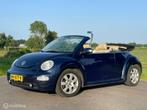 Volkswagen New Beetle Cabriolet 1.6 Turijn Comfort, Stof, Beetle (Kever), 4 cilinders, Cabriolet