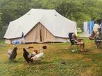 Grote bell tent, 12 personen, katoen, 4x6 m, Ophalen, Gebruikt, Meer dan 6