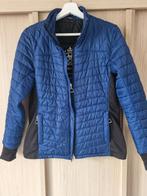 Nieuwstaat blauw Ariat paardrij jas maat l 40, Dieren en Toebehoren, Paardrijkleding, Ophalen of Verzenden, Nieuw, Dames, Bovenkleding