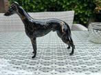 windhond whippet hazewindhond beeld zwart gemarmerd, Ophalen of Verzenden