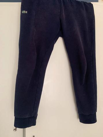 Lacoste pantalon beschikbaar voor biedingen